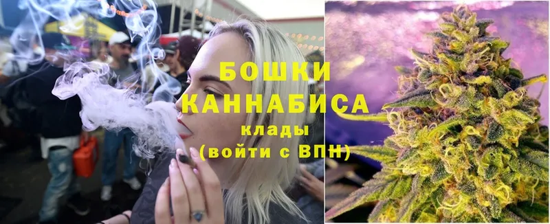 ссылка на мегу онион  Семилуки  Бошки марихуана семена 